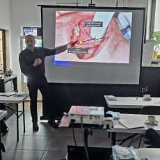 506526249_1306457001484652_6471162765878239899_n