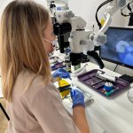 aec1344d-6aca-4708-ab8f-b72809195fcf